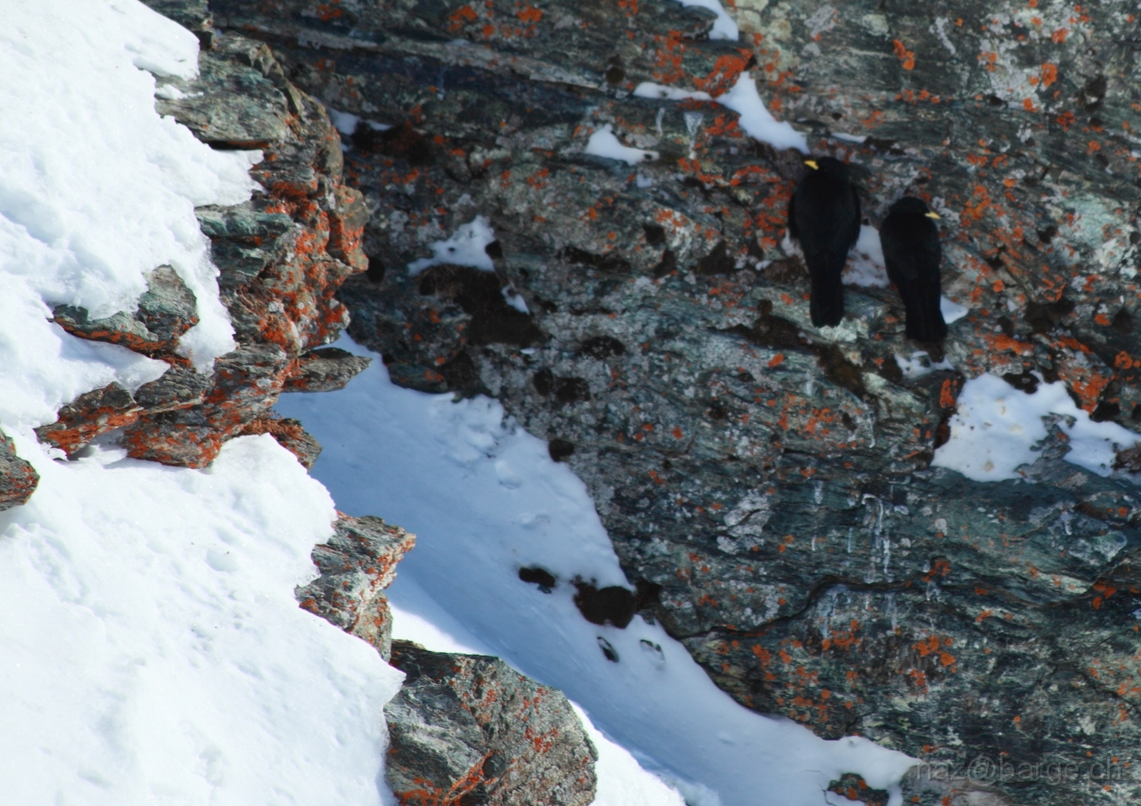 EOS 5D Mark II15_01_20120238.JPG